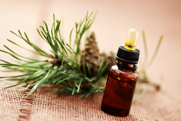 fir tree essential oil