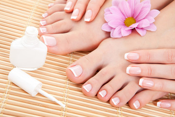 care for beautiful woman nails - 19271920