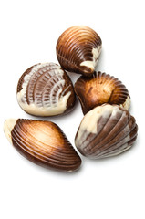 Five chocolate mollusk shaped assortments
