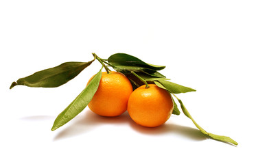 Two orange tangerines