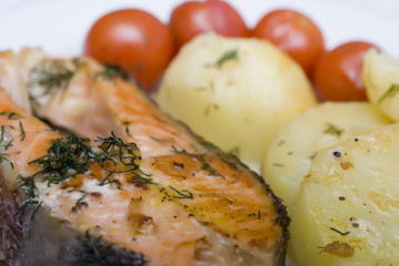 Mediterranean salmon
