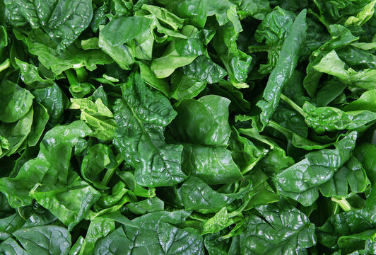 spinaci
