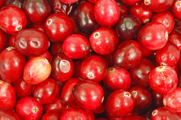 Close view of cranberries
