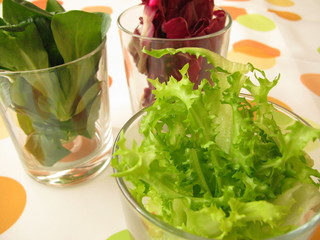 Dreierlei Salat im Glas serviert
