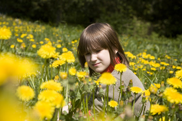 little girl on the spring meadow - dandelion