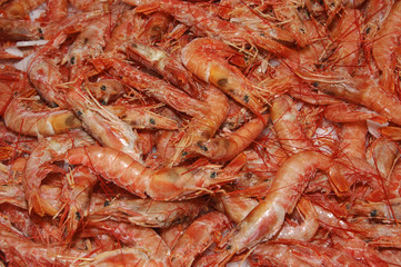 shrimps