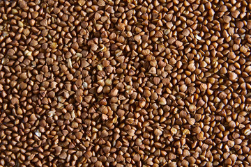 close-up on buckwheat surface