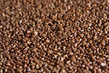 close-up on buckwheat surface