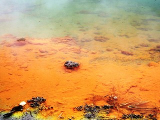 lodo de un g&eacute;iser