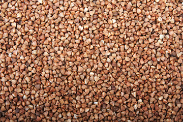 Buckwheat