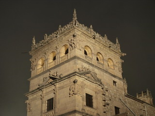 Torre del Palacio de Monterrey en Salamanca