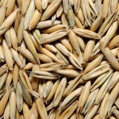 Deurstickers unpurified oat grains © demoded