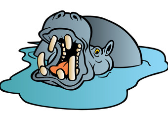 hippopotamus vector