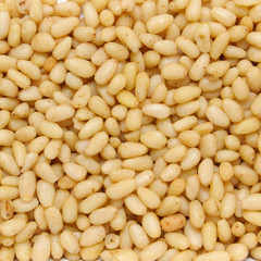 pine nuts grains