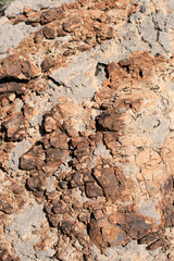 Rock in Red Rock Canyon, Nevada