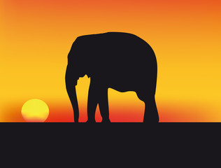 Fototapeta na wymiar sunset in Africa