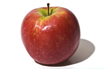pomme_2033