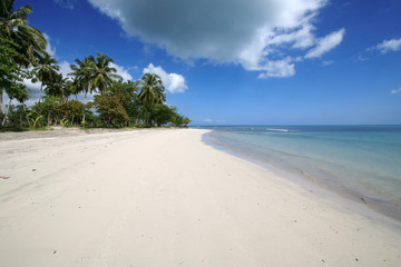 Fototapeta na wymiar Karibischer Strand