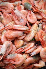 Boiled shrimps texture