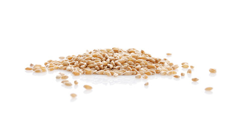 Fototapeta premium Grain of the wheat