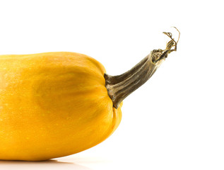 Pumpkin isolated