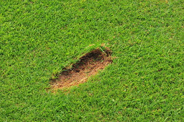 divot