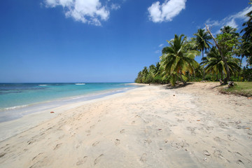 Karibischer Strand mit Spuren im Sand