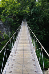 Fototapeta na wymiar Swinging Hanging Bridge