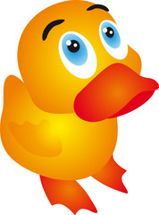 Duck vector