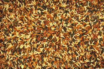 classic mixed Rice