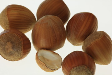 Haselnüsse 6442
