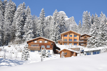 Majestic Alpine view. Switzerland