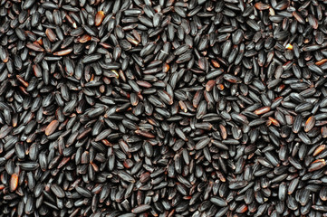 Organic black short grain rice.
