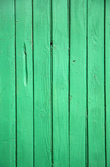 green painted wall