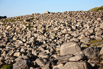 Stone field
