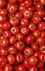 tomato background