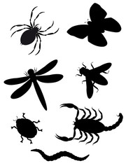 beetles and insects silhouette