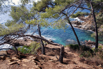 Chemin du littoral