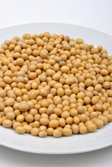 organic soya beans are a good alternative instead of meat