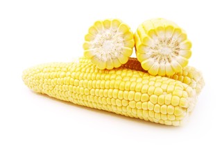 maize corn isolated on white