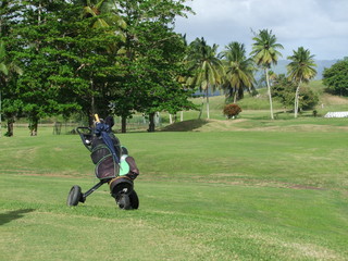 Martinique - Golf des 3 Ilets