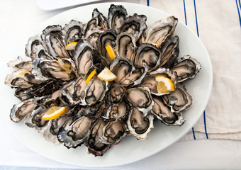 raw oyster platter
