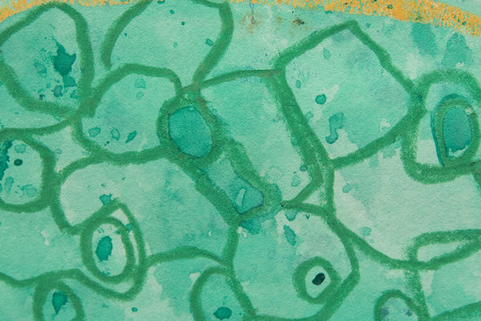 zellenteilung illustration background