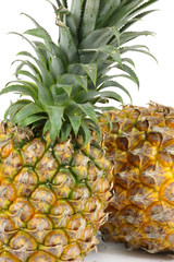 pineapple fruit ，on white background