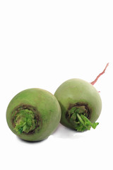 green radish