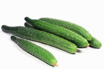 Cucumber isolated on white background