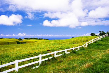 Fototapeta na wymiar Landscape of Big Island. Hawaii. USA