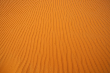 sandy background