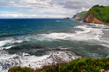 View on the ocean and beach on Big island. Hawaii. USA