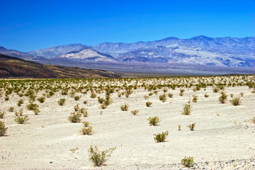 Lifeless landscape of the Valley of Death. California. USA